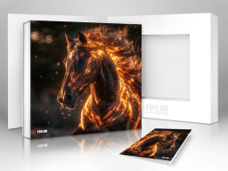 Огненная лошадь! Подарочная коробка - Подарки в Москве, подарочные сертификаты | интернет-магазин подарков с доставкой