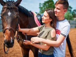 Прокат лошадей для двоих - Подарки в Москве, подарочные сертификаты | интернет-магазин подарков с доставкой