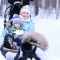Дог треккинг. Прогулка с хаски  - Подарки в Москве, подарочные сертификаты | интернет-магазин подарков с доставкой